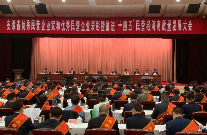 喜訊！元琛科技總經(jīng)理梁燕被授予“安徽省優(yōu)秀民營(yíng)企業(yè)家”稱(chēng)號(hào)